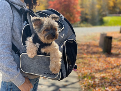 Mr. Peanut's Malibu Series Backpack Pet Carrier Stroller With Detachable Wheelbase