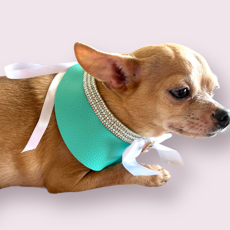 Sniffany Blue Neck Collar- Dog Neck Collar