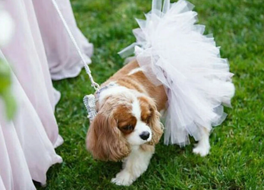 White Bridal Dog Tutu Skirt (XS)