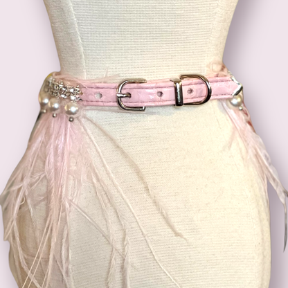 elegant designer pet collar close up